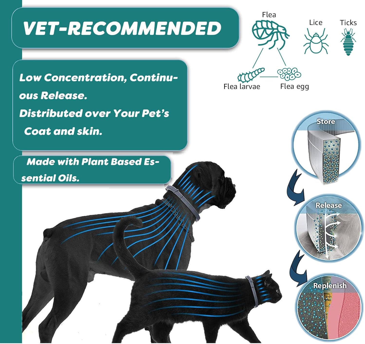 Flea and Tick Collar for Cats - Offers 12-Month Protection, Crafted with Premium Plant Oils, Waterproof, Natural, Safe for Kittens, Includes Free Comb and Tweezers, 13.8 in (2 Packs)