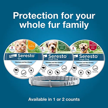 Seresto Large Dog Vet-Recommended Flea & Tick Treatment & Prevention Collar for Dogs Over 18 lbs. | 8 Months Protection