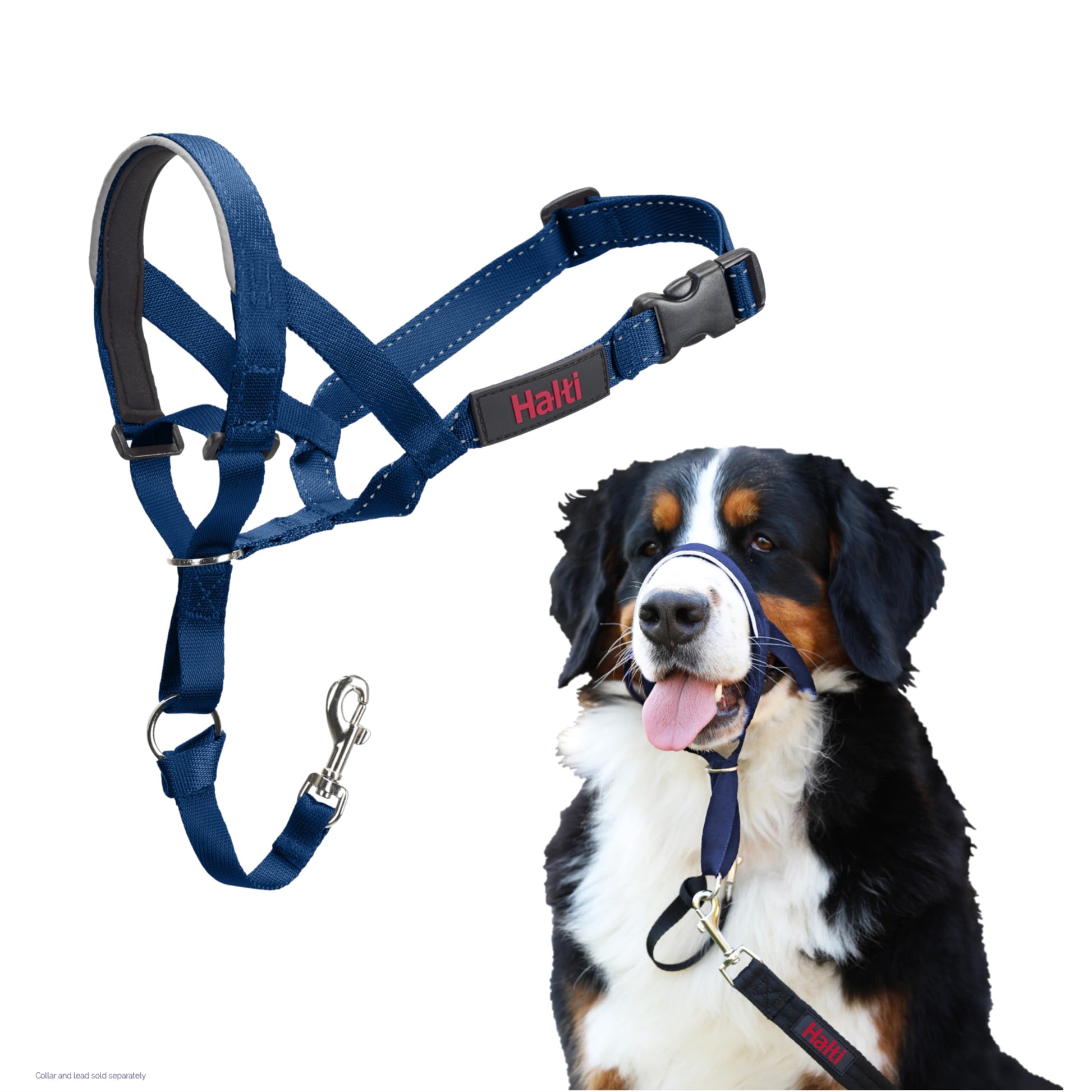 HALTI Headcollar - To Stop Your Dog Pulling on the Leash. Adjustable, Reflective and Lightweight, with Padded Nose Band. Dog Training Anti-Pull Collar for Medium Dogs (Size 3, Black)