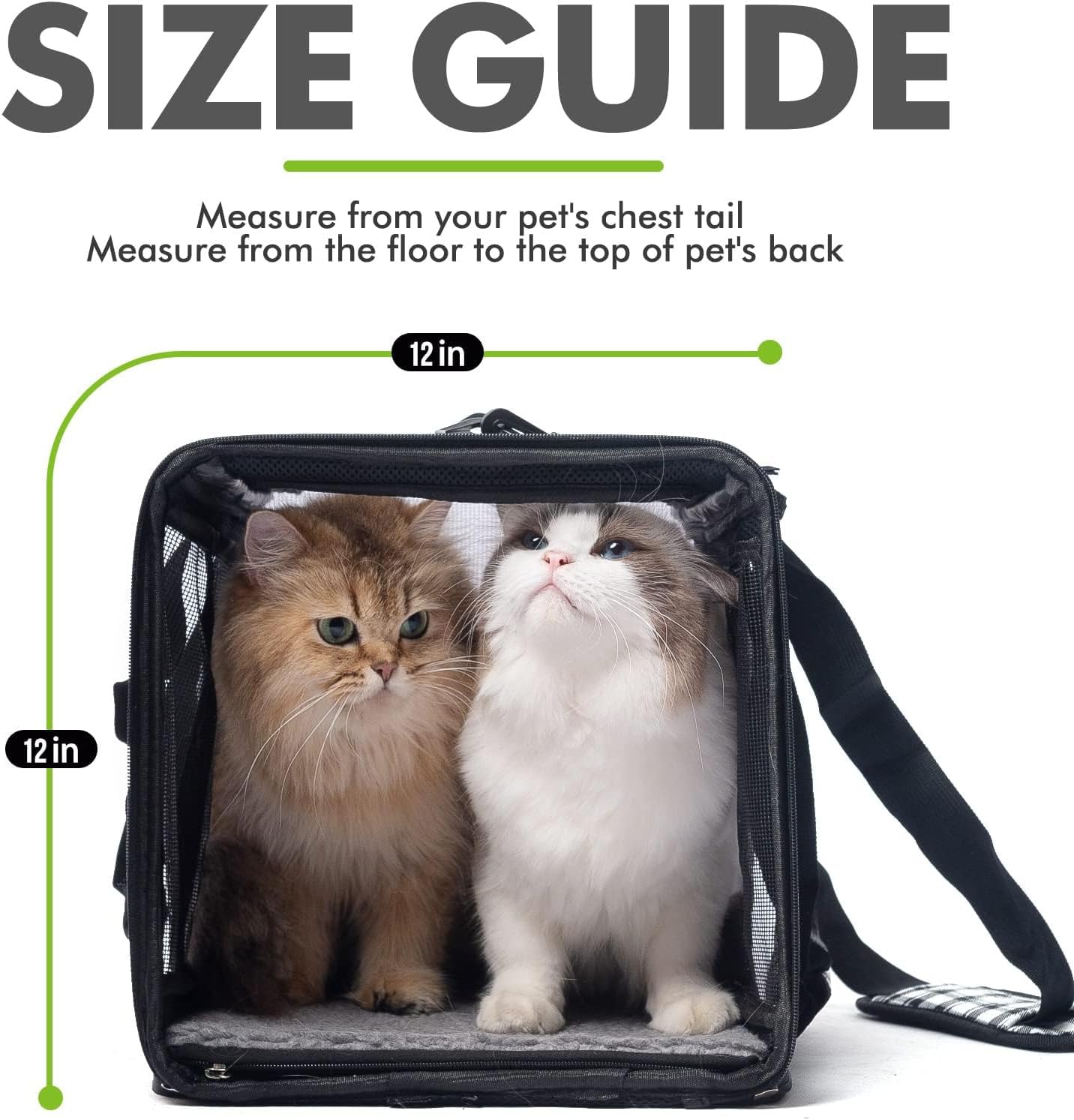 EXPAWLORER Cat Carrier Soft-Sided Pet Carrier for Cat,Cat Carrier Hard with Top Entry and Shoulder Strap for Large Cats,Pet Carrier Airline Approved Fit 2 Kitties Small Dogs Easy Storage