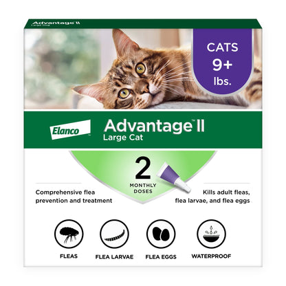 Advantage II Large Cat Vet-Recommended Flea Treatment & Prevention | Cats Over 9 lbs. | 6-Month Supply