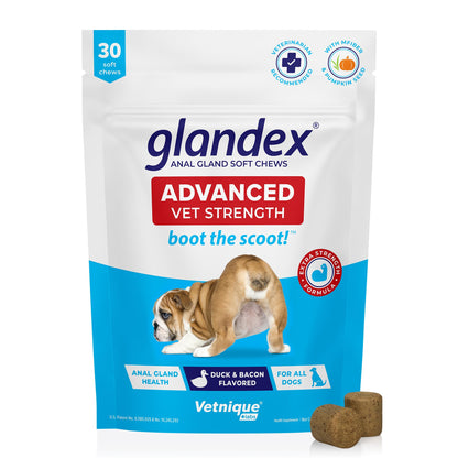 Glandex Anal Gland Soft Chew Treats with Pumpkin for Dogs Digestive Enzymes, Probiotics Fiber Supplement for Dogs Boot The Scoot (Peanut Butter Chews, 60ct)