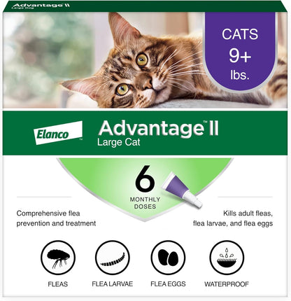 Advantage II Large Cat Vet-Recommended Flea Treatment & Prevention | Cats Over 9 lbs. | 6-Month Supply