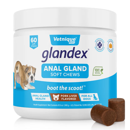 Glandex Anal Gland Soft Chew Treats with Pumpkin for Dogs Digestive Enzymes, Probiotics Fiber Supplement for Dogs Boot The Scoot (Peanut Butter Chews, 60ct)