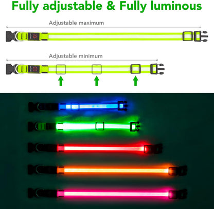 Vizpet LED Dog Collar, Light Up Dog Collar Adjustable USB Rechargeable Super Bright Safety Light Glowing Collars for Dogs(Medium,Green)