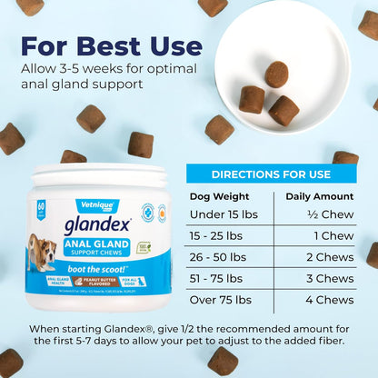 Glandex Anal Gland Soft Chew Treats with Pumpkin for Dogs Digestive Enzymes, Probiotics Fiber Supplement for Dogs Boot The Scoot (Peanut Butter Chews, 60ct)