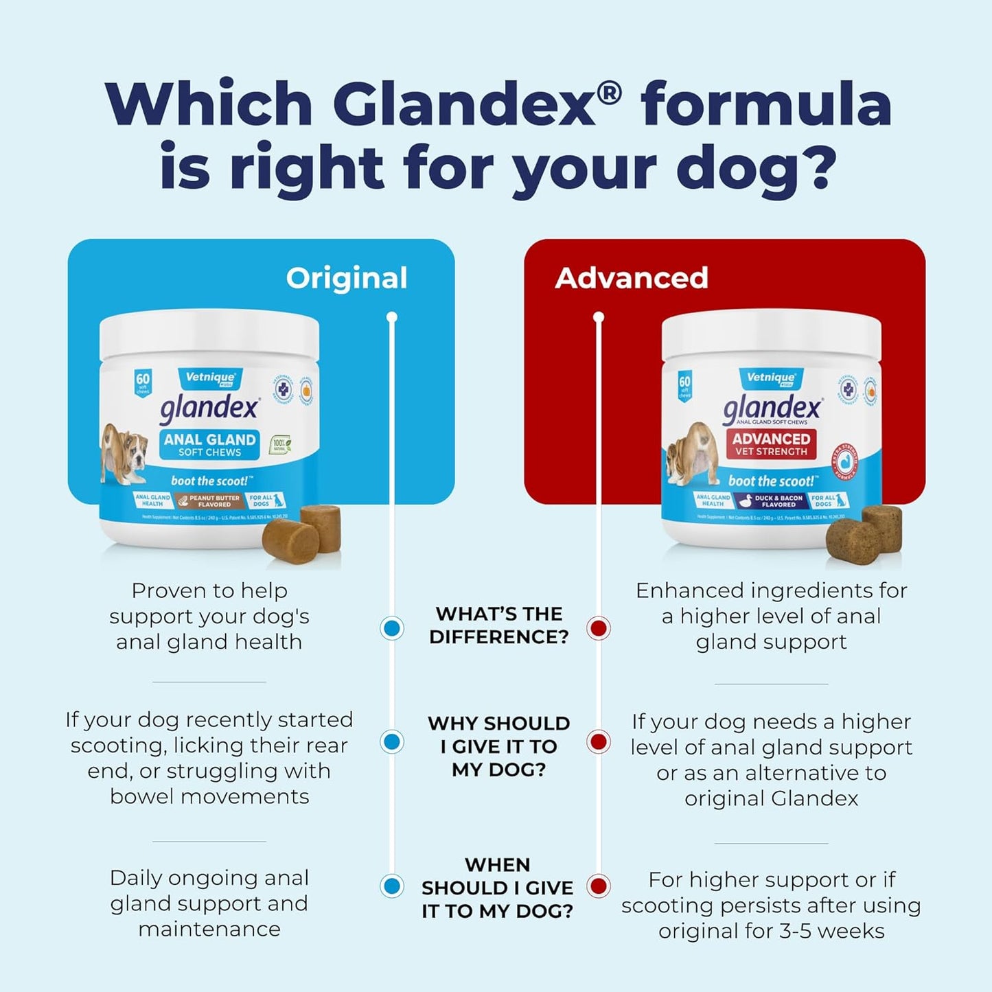 Glandex Anal Gland Soft Chew Treats with Pumpkin for Dogs Digestive Enzymes, Probiotics Fiber Supplement for Dogs Boot The Scoot (Peanut Butter Chews, 60ct)