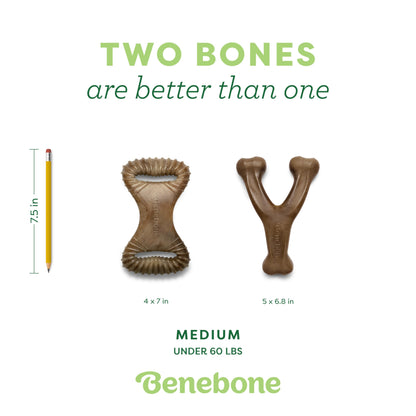 Benebone Medium 4-Pack Dog Chew Toys LukkyDeals