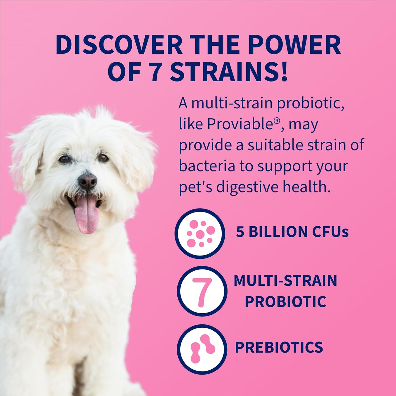 Nutramax Proviable Digestive Health Supplement Multi-Strain Probiotics and Prebiotics for Cats and Dogs - With 7 Strains of Bacteria, 30 Capsules