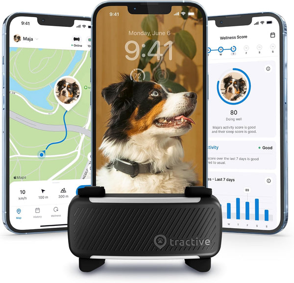 Product placeholder
