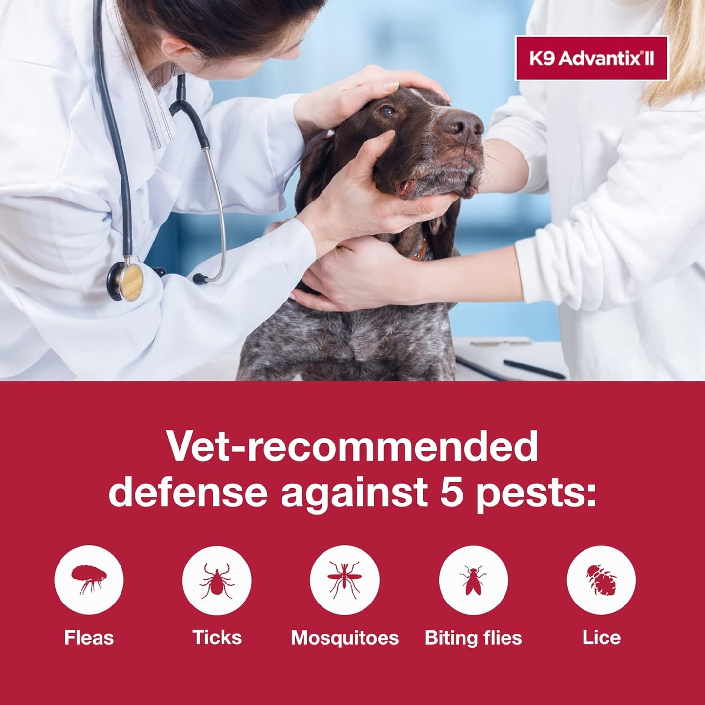 K9 Advantix II XL Dog Vet-Recommended Flea, Tick & Mosquito Treatment & Prevention | Dogs Over 55 lbs. | 1-Mo Supply