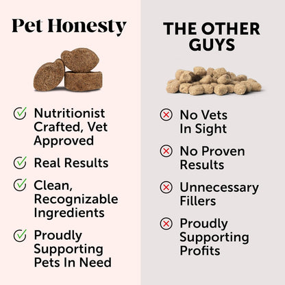 Pet Honesty Dog Allergy & Itch Relief - Advanced Itch Supplement with Probiotics for Dogs - Immune Support & Skin Relief for Seasonal Allergies - Natural Itchy Skin & Paw Relief - (Salmon, 90 Ct)