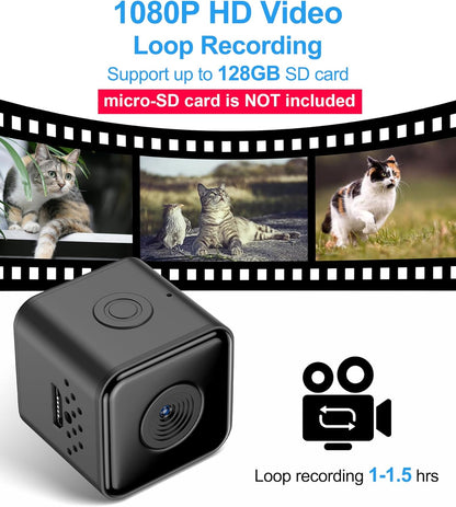 Cat Camera Collar, Direct Recording Camera for Cat/Dog, XS-Size Collar, No App, Cordless Cat Collar Camera, Body Camera for Cat/Dog Tracking, Dog Collar Camera(No Micro-SD Card Included)