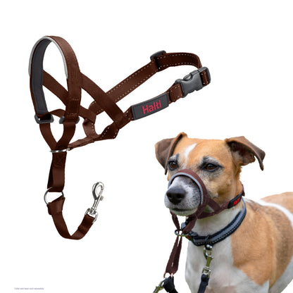 HALTI Headcollar - To Stop Your Dog Pulling on the Leash. Adjustable, Reflective and Lightweight, with Padded Nose Band. Dog Training Anti-Pull Collar for Medium Dogs (Size 3, Black)