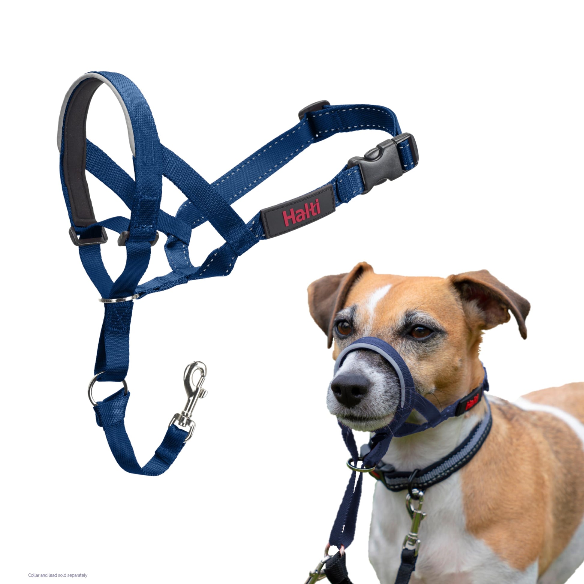 HALTI Headcollar - To Stop Your Dog Pulling on the Leash. Adjustable, Reflective and Lightweight, with Padded Nose Band. Dog Training Anti-Pull Collar for Medium Dogs (Size 3, Black)