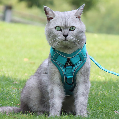 Cat-specific Anti-breakaway Cat Rope Silver Gradient Chain - LukkyDeals