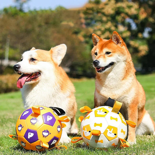 Dog Interactive Football Toys Children Soccer Dog Outdoor Training Balls Pet Sporty Bite Chew Teething Ball With Cute Printing - LukkyDeals