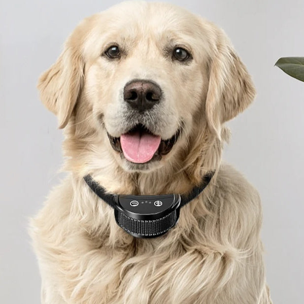 Close-up of electric dog bark collar with shock level adjustment and rechargeable battery