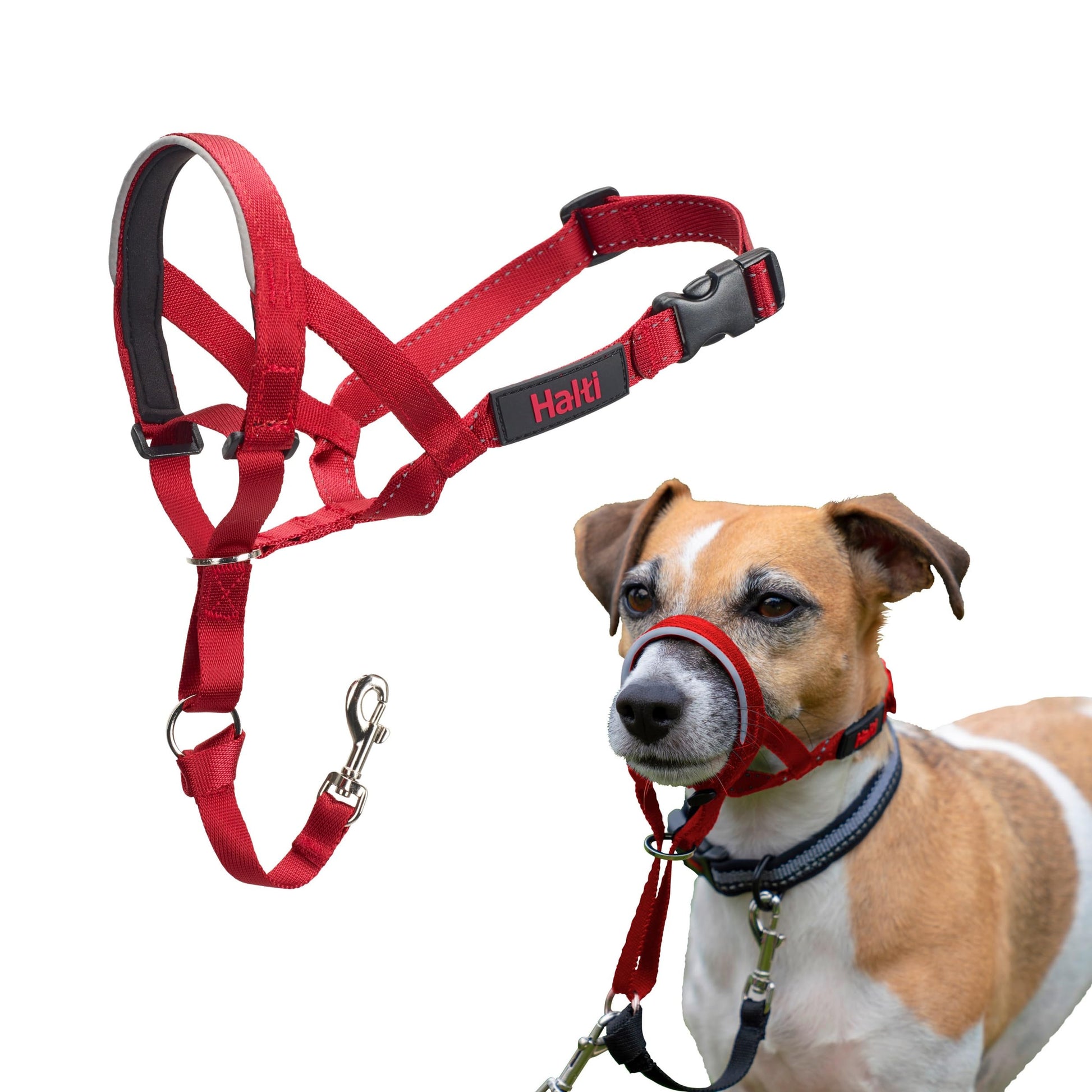 HALTI Headcollar - To Stop Your Dog Pulling on the Leash. Adjustable, Reflective and Lightweight, with Padded Nose Band. Dog Training Anti-Pull Collar for Medium Dogs (Size 3, Black)