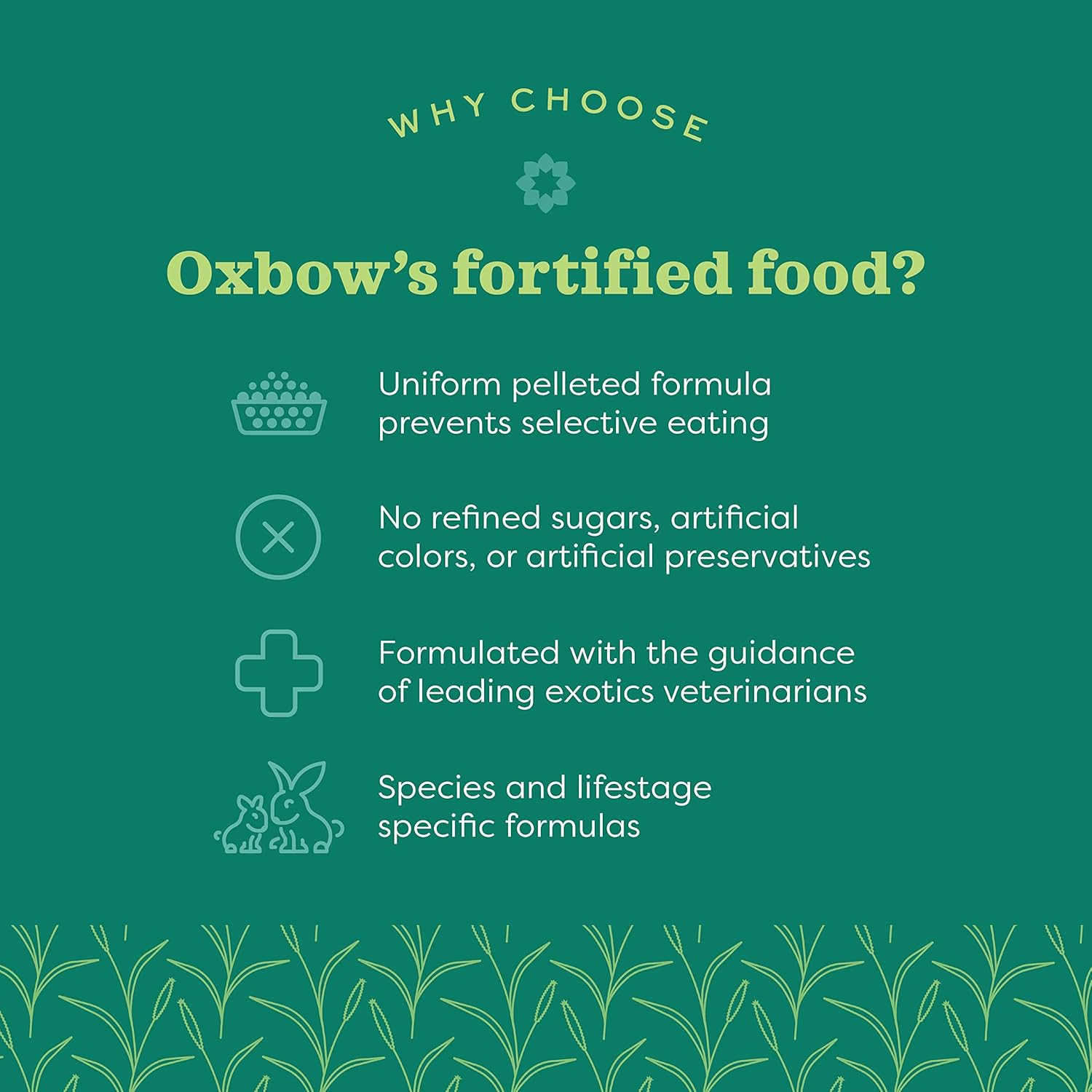 Oxbow Essentials Adult Guinea Pig Food - All Natural Adult Guinea Pig Pellets- Veterinarian Recommended- No Artificial Ingredients- All Natural Vitamins & Minerals- Made in the USA - 5 lb.