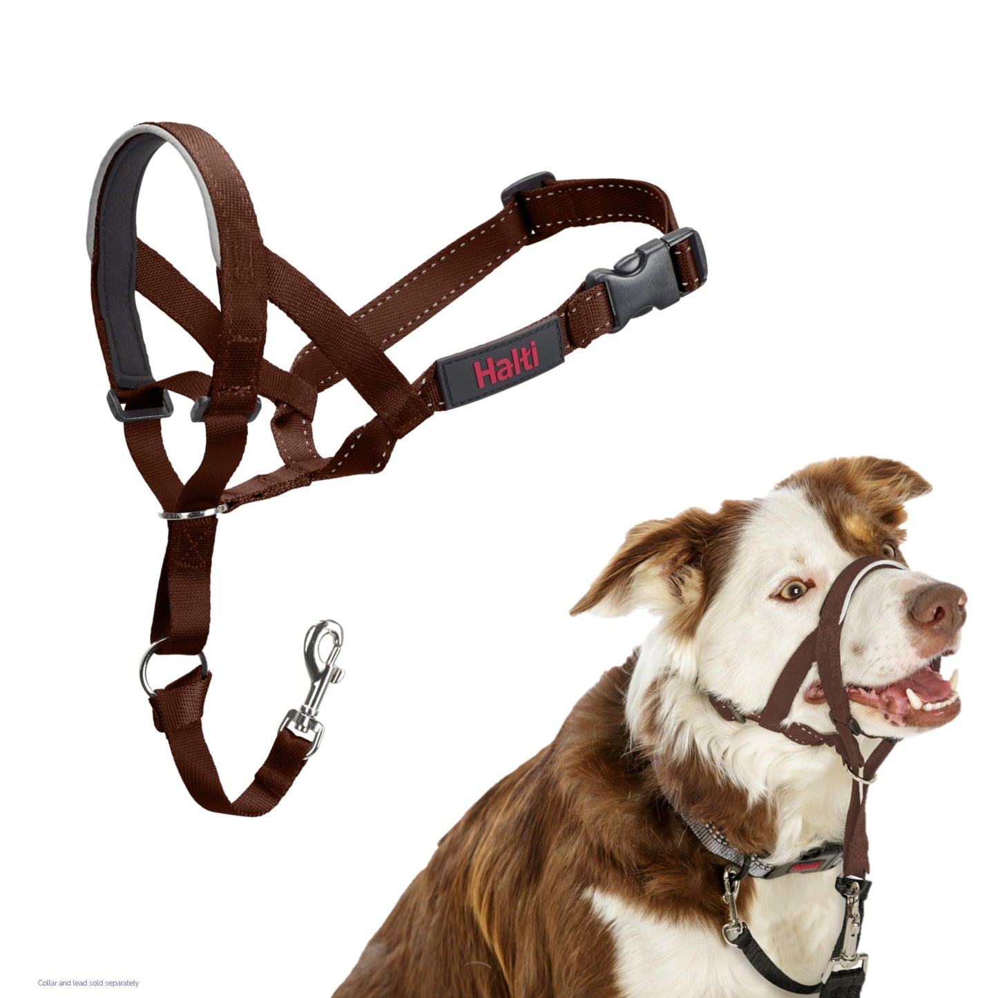 HALTI Headcollar - To Stop Your Dog Pulling on the Leash. Adjustable, Reflective and Lightweight, with Padded Nose Band. Dog Training Anti-Pull Collar for Medium Dogs (Size 3, Black)