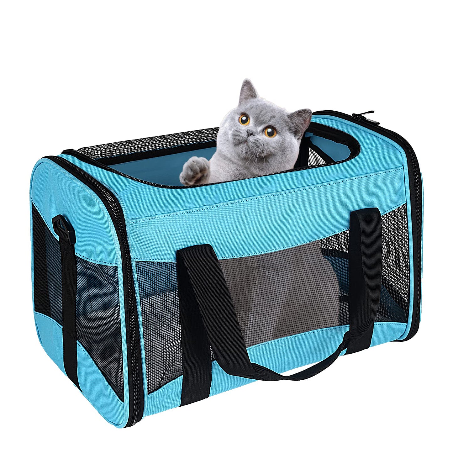 Cat Carrying Case Pet Dog Carrier Soft-Sided Cat Bag Airline Approved, Pet Travel Carrier Up to 15 Lbs, Collapsible Cat Carrier Dog Carrier for Medium Cats Small Cats Dogs(17x11x11 Green)