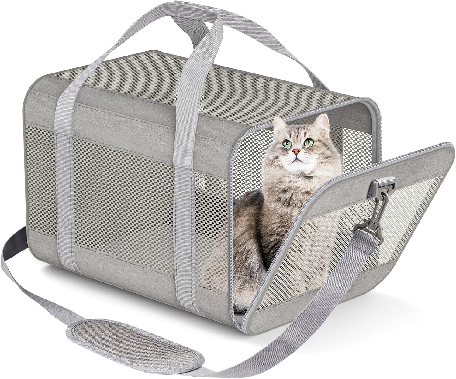 Prodigen Cat Carrier Dog Carriers for Small Dogs Soft Slided Airline Approved Collapsible Pet Travel Carrier, Small (16.3" L x 11.8" H x 12.4" W)