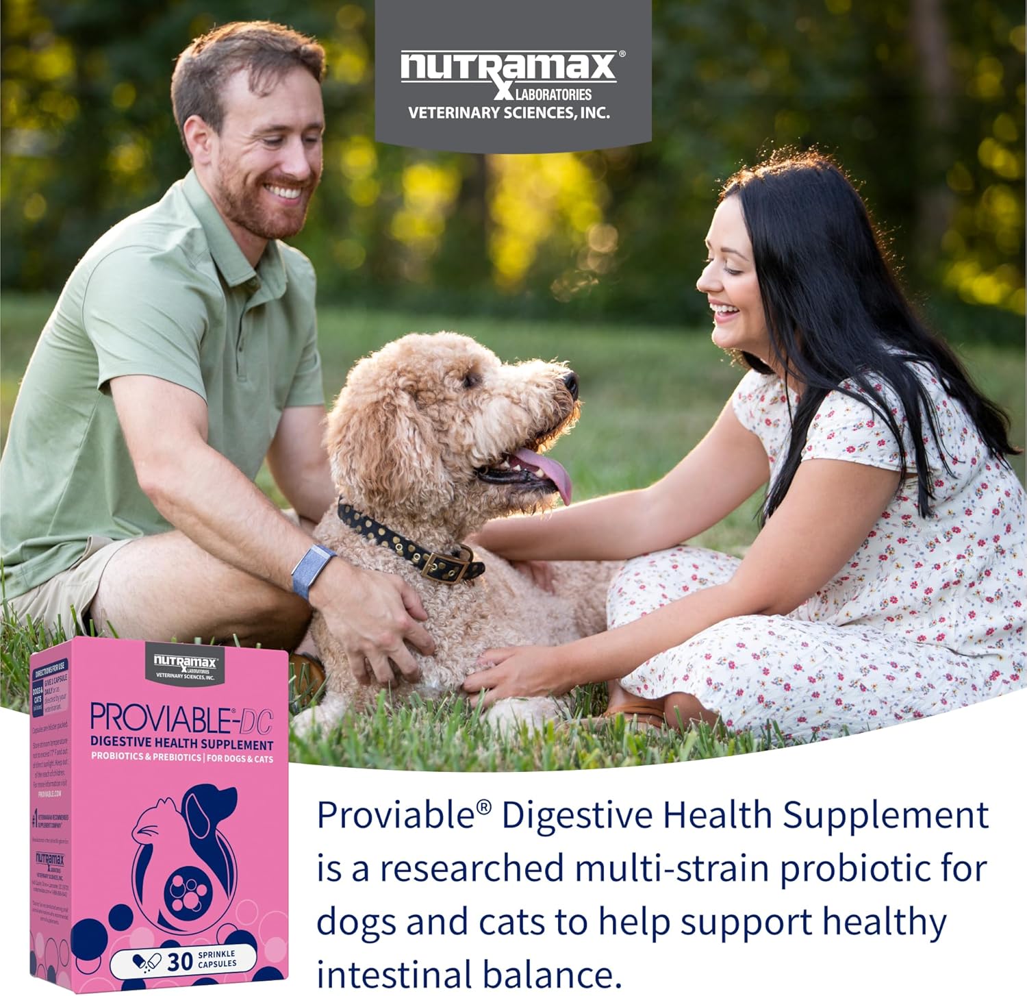 Nutramax Proviable Digestive Health Supplement Multi-Strain Probiotics and Prebiotics for Cats and Dogs - With 7 Strains of Bacteria, 30 Capsules