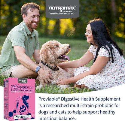 Nutramax Proviable Digestive Health Supplement Multi-Strain Probiotics and Prebiotics for Cats and Dogs - With 7 Strains of Bacteria, 30 Capsules