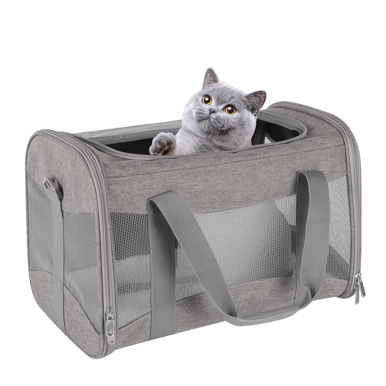 Cat Carrying Case Pet Dog Carrier Soft-Sided Cat Bag Airline Approved, Pet Travel Carrier Up to 15 Lbs, Collapsible Cat Carrier Dog Carrier for Medium Cats Small Cats Dogs(17x11x11 Green)