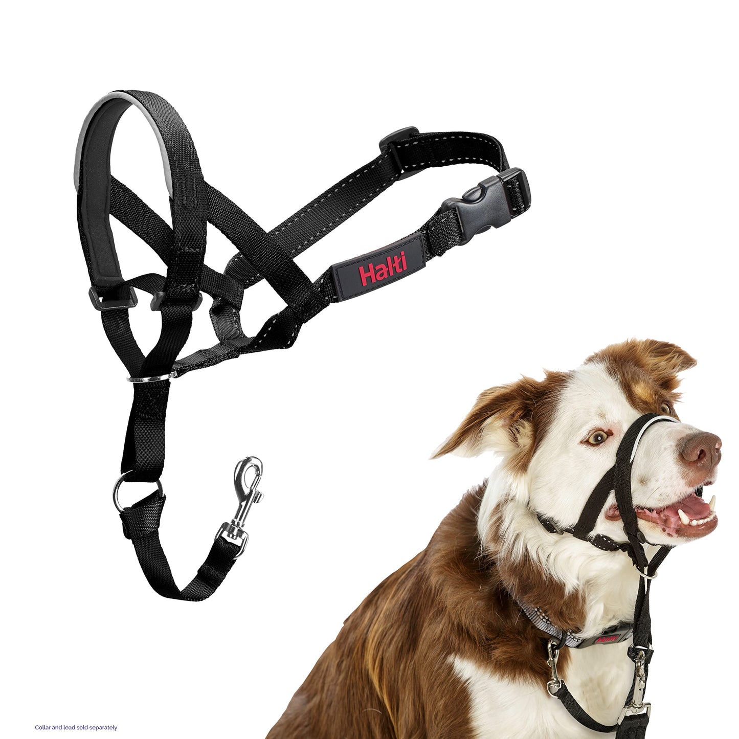 HALTI Headcollar - To Stop Your Dog Pulling on the Leash. Adjustable, Reflective and Lightweight, with Padded Nose Band. Dog Training Anti-Pull Collar for Medium Dogs (Size 3, Black)