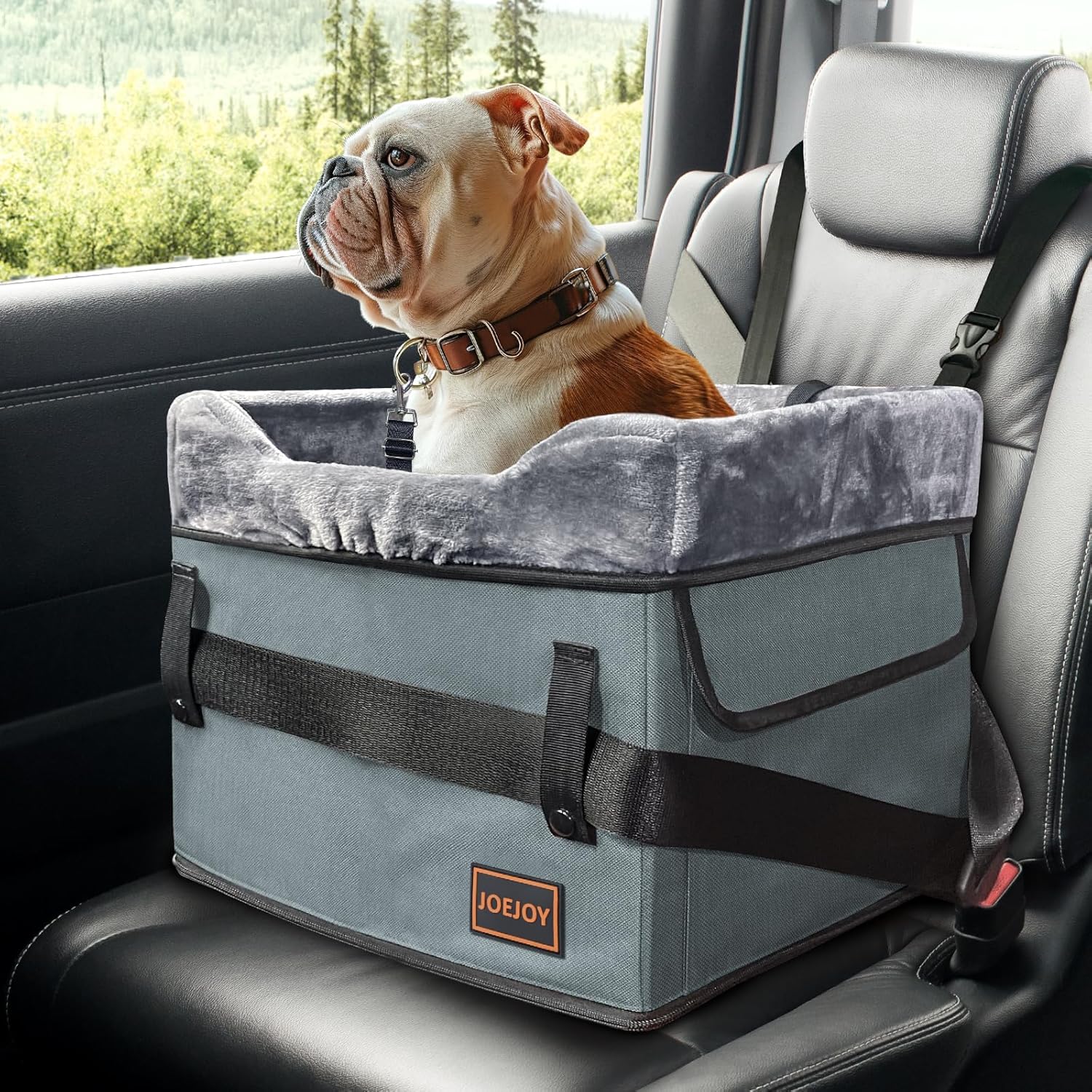 JOEJOY Small Dog Car Seat for Small Dogs, Portable Puppy Dog Booster Seat for Car with Clip-On Safety Leash, Adjustable Straps Perfect for Small Pets Up to 25lbs (Grey)