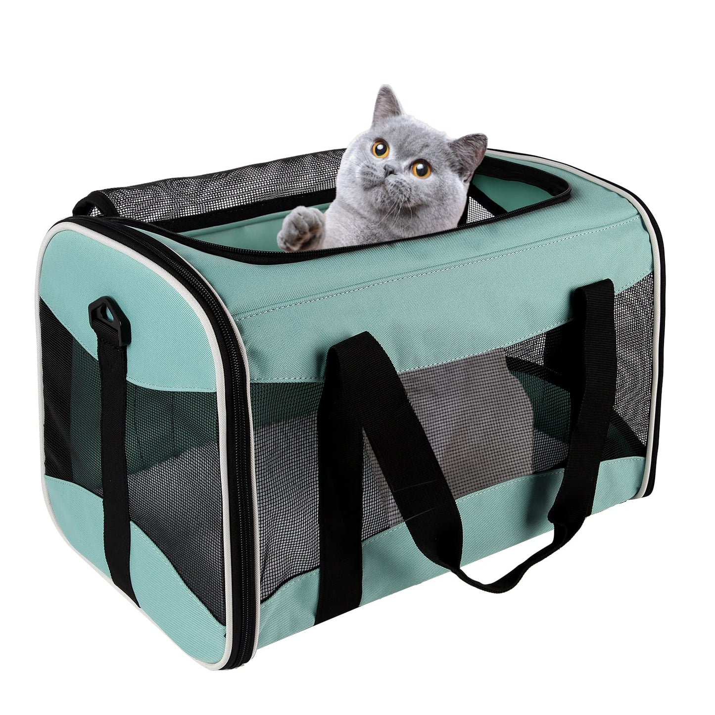 Cat Carrying Case Pet Dog Carrier Soft-Sided Cat Bag Airline Approved, Pet Travel Carrier Up to 15 Lbs, Collapsible Cat Carrier Dog Carrier for Medium Cats Small Cats Dogs(17x11x11 Green)