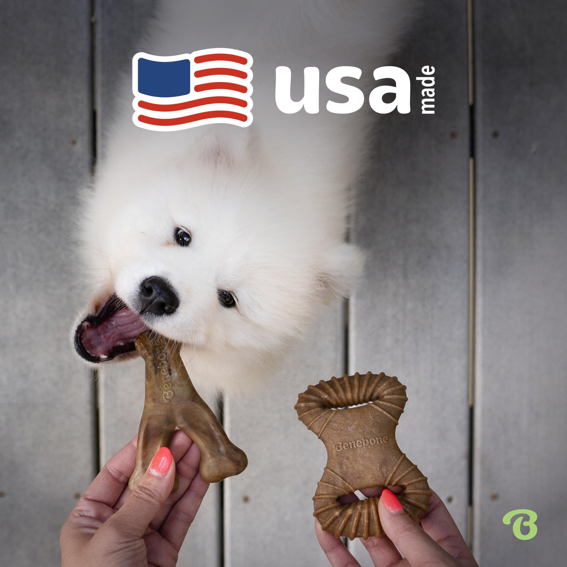 Benebone Medium 4-Pack Dog Chew Toys LukkyDeals
