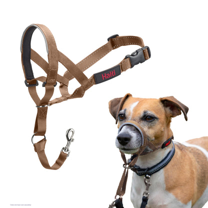 HALTI Headcollar - To Stop Your Dog Pulling on the Leash. Adjustable, Reflective and Lightweight, with Padded Nose Band. Dog Training Anti-Pull Collar for Medium Dogs (Size 3, Black)