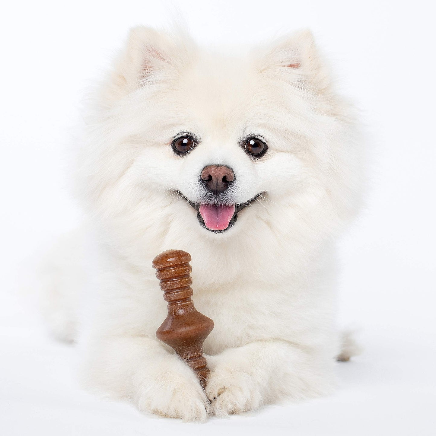 Benebone Medium 4-Pack Dog Chew Toys LukkyDeals