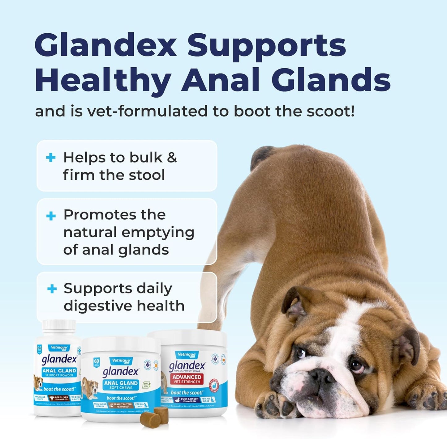 Glandex Anal Gland Soft Chew Treats with Pumpkin for Dogs Digestive Enzymes, Probiotics Fiber Supplement for Dogs Boot The Scoot (Peanut Butter Chews, 60ct)