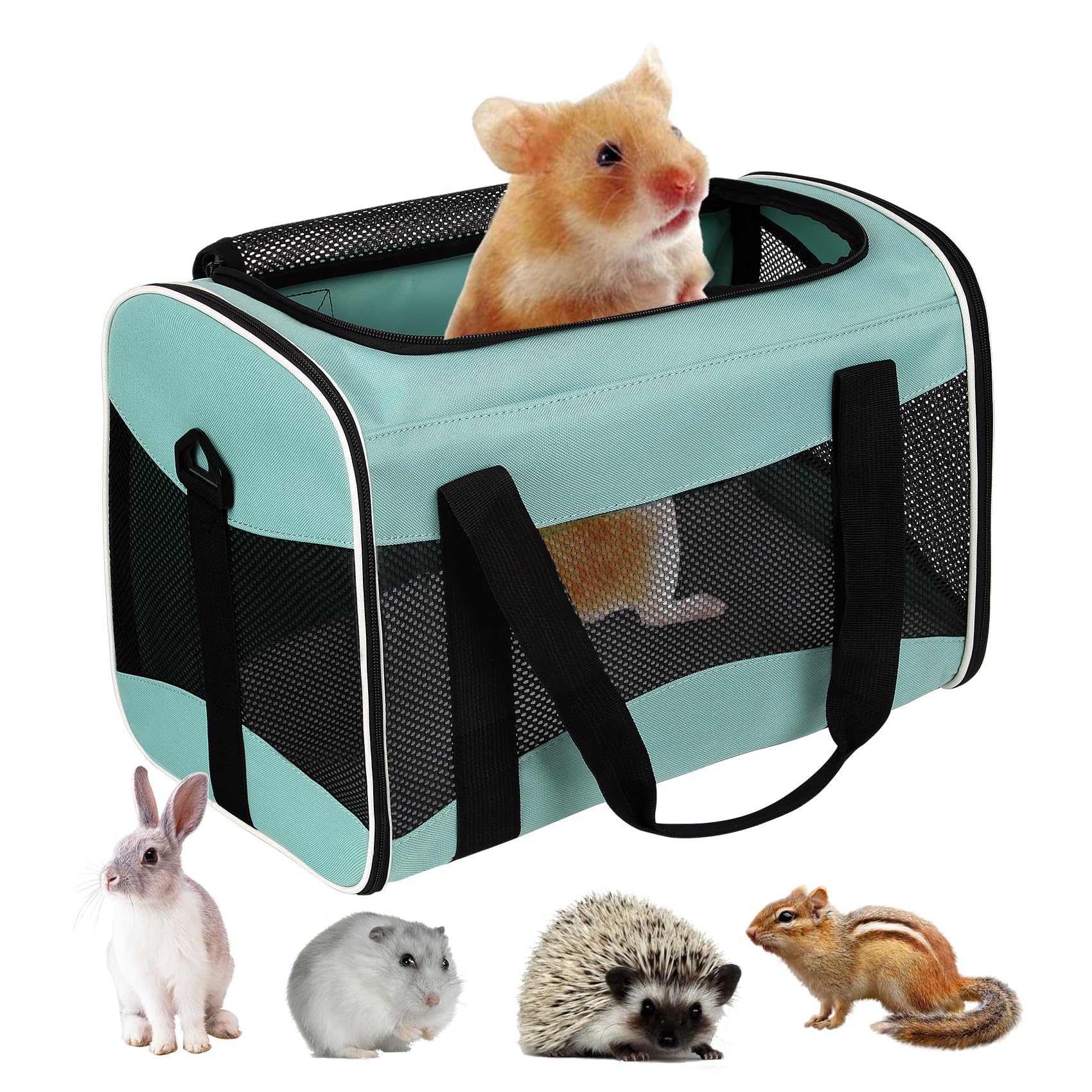 Cat Carrying Case Pet Dog Carrier Soft-Sided Cat Bag Airline Approved, Pet Travel Carrier Up to 15 Lbs, Collapsible Cat Carrier Dog Carrier for Medium Cats Small Cats Dogs(17x11x11 Green)