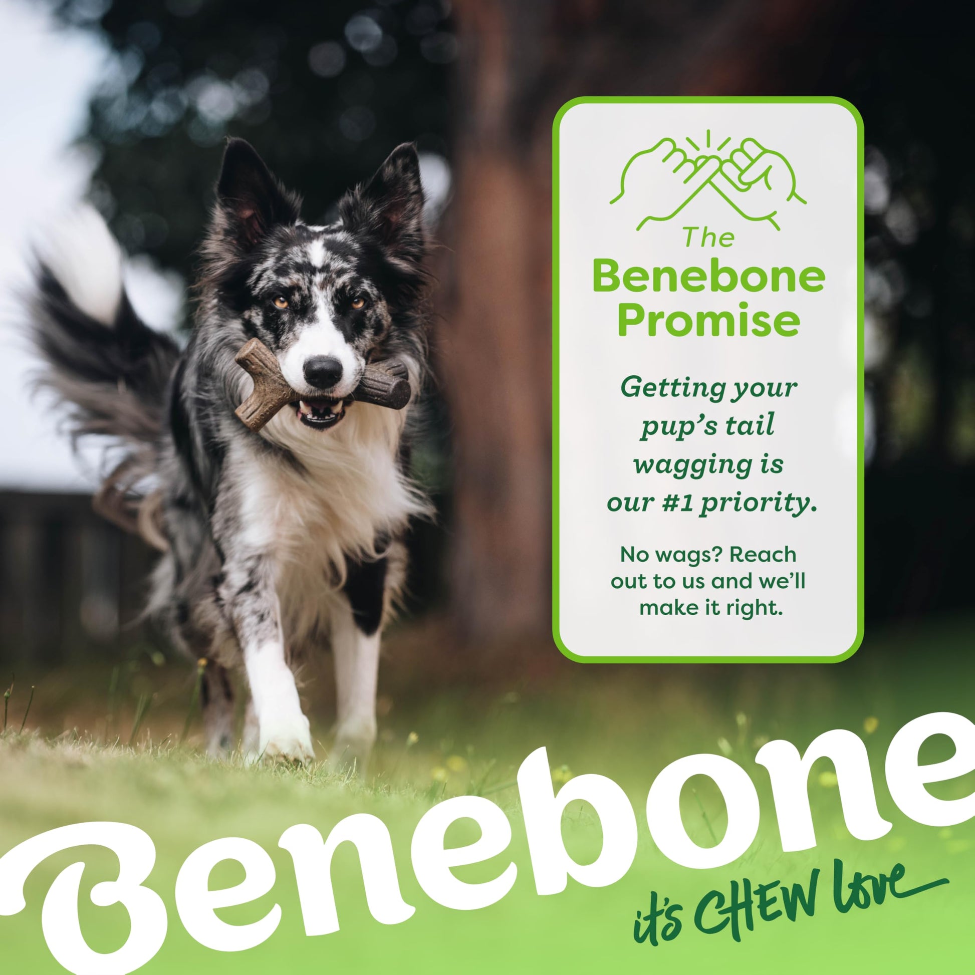 Benebone Medium 4-Pack Dog Chew Toys LukkyDeals