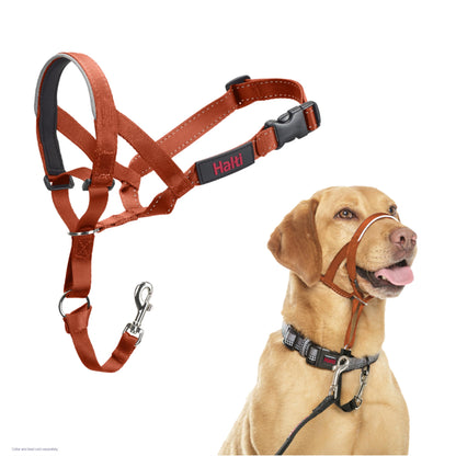 HALTI Headcollar - To Stop Your Dog Pulling on the Leash. Adjustable, Reflective and Lightweight, with Padded Nose Band. Dog Training Anti-Pull Collar for Medium Dogs (Size 3, Black)