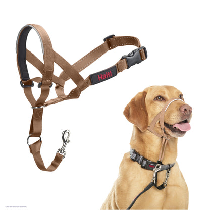 HALTI Headcollar - To Stop Your Dog Pulling on the Leash. Adjustable, Reflective and Lightweight, with Padded Nose Band. Dog Training Anti-Pull Collar for Medium Dogs (Size 3, Black)