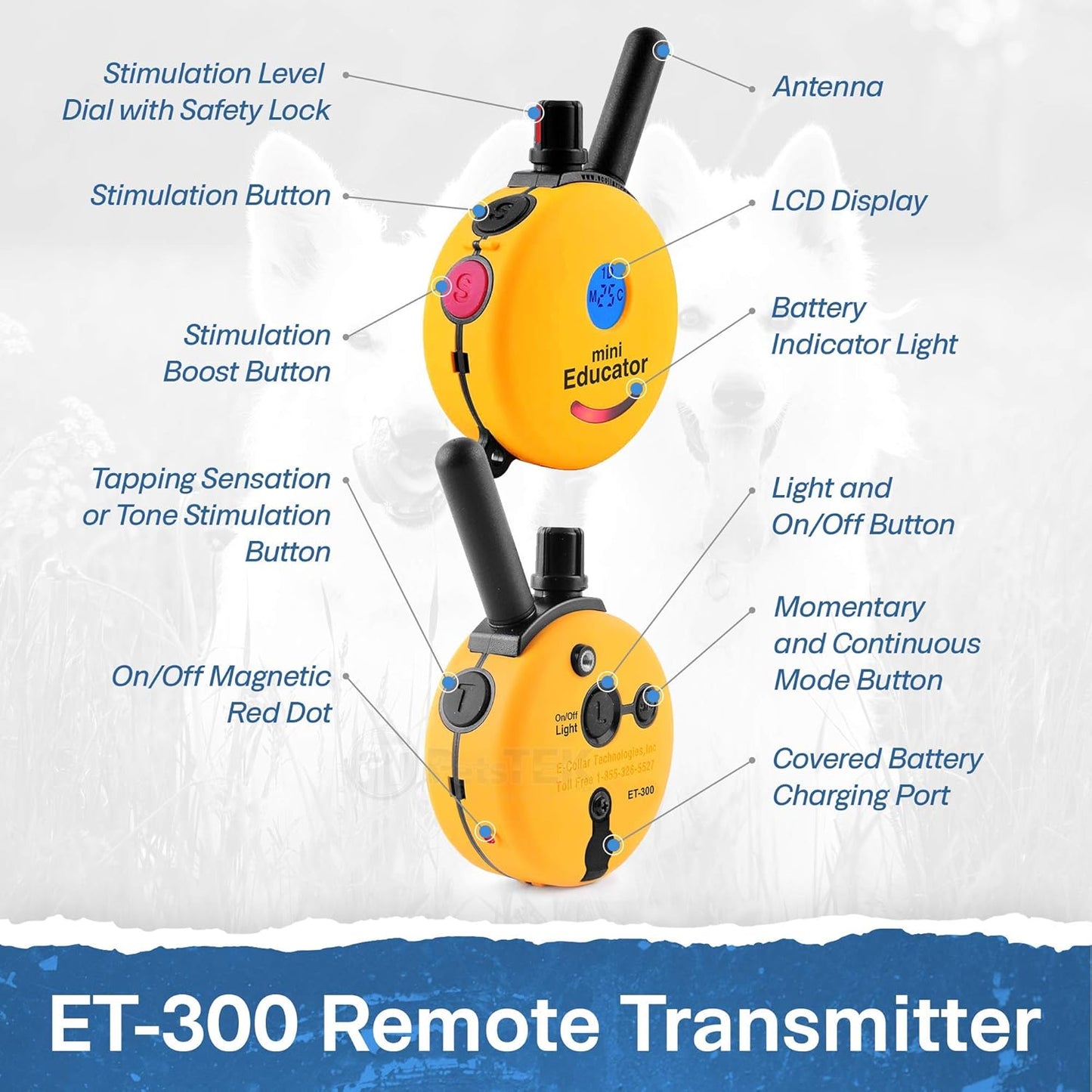 E-Collar - ET-300-1/2 Mile Remote Waterproof Trainer Mini Educator Remote Training Collar - 100 Training Levels Plus Vibration and Sound - Includes PetsTEK Dog Training Clicker