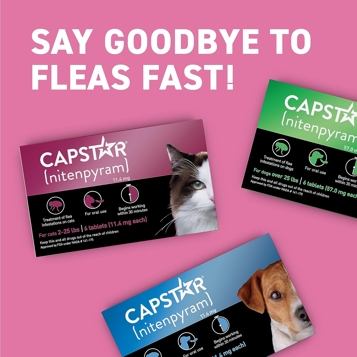 CAPSTAR (nitenpyram) Oral Flea Treatment for Cats, Fast Acting Tablets Start Killing Fleas in 30 Minutes, Cats 2-25 lbs, 6 Doses