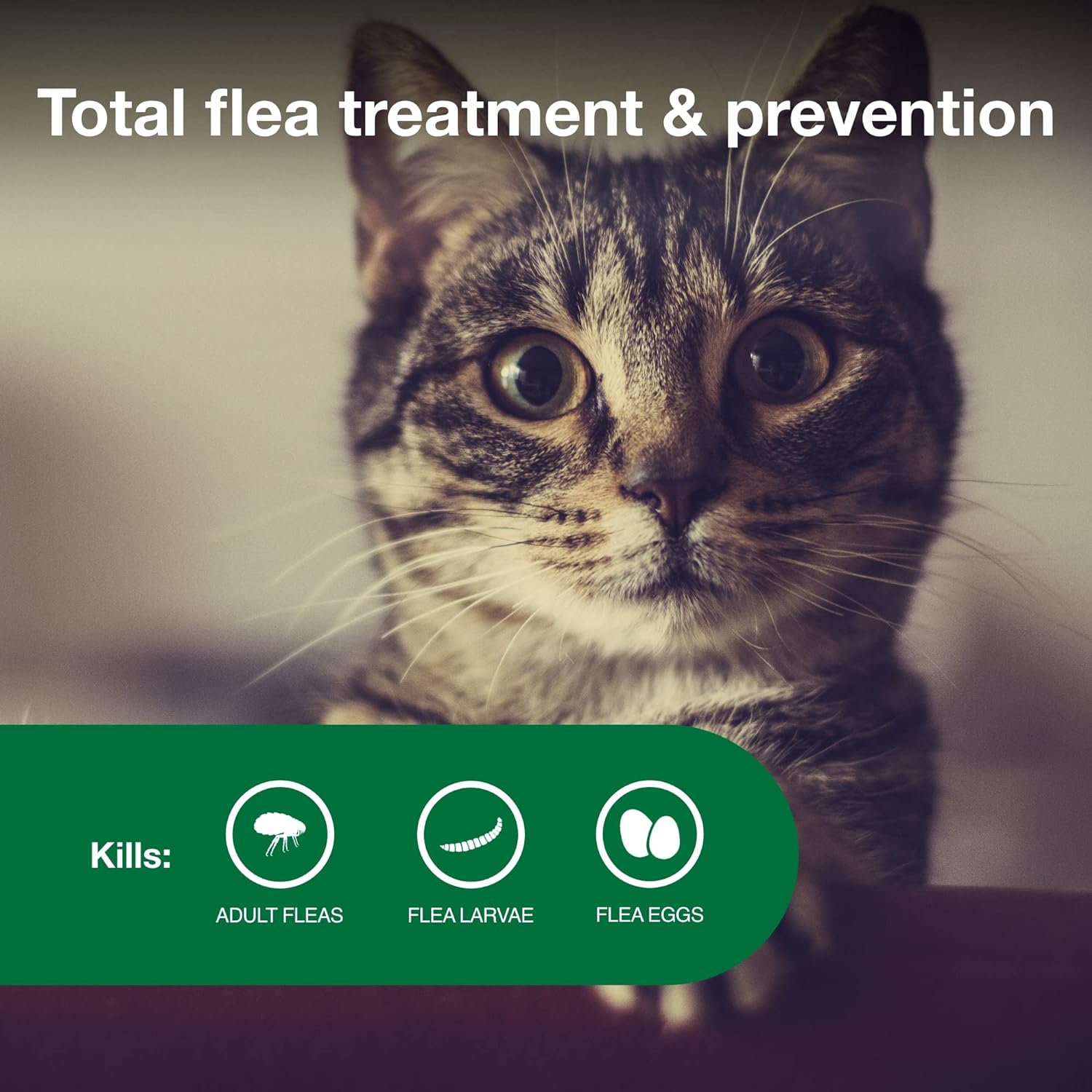 Advantage II Small Cat Vet-Recommended Flea Treatment & Prevention | Cats 5-9 lbs. | 2-Month Supply