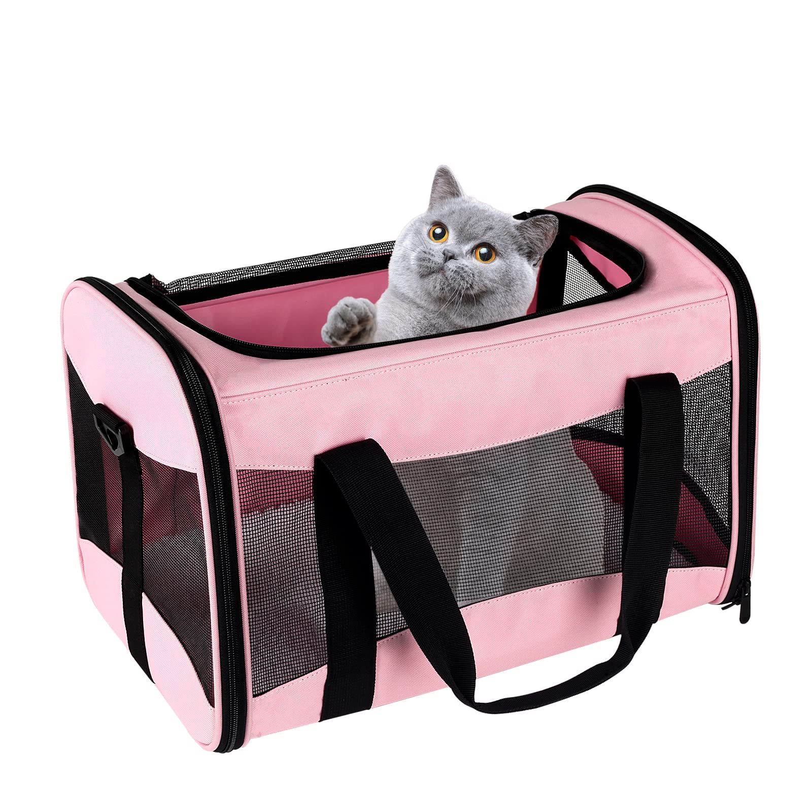 Cat Carrying Case Pet Dog Carrier Soft-Sided Cat Bag Airline Approved, Pet Travel Carrier Up to 15 Lbs, Collapsible Cat Carrier Dog Carrier for Medium Cats Small Cats Dogs(17x11x11 Green)