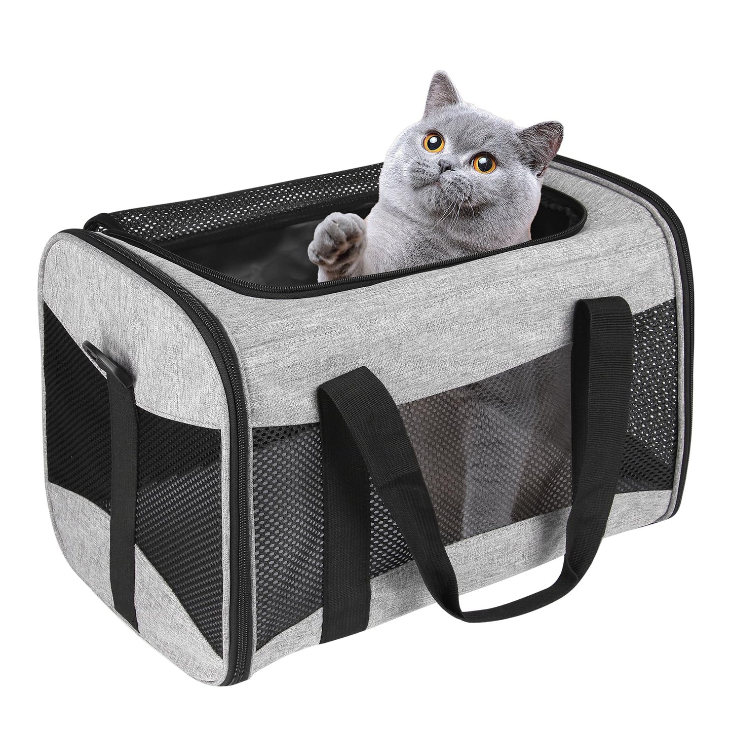 Cat Carrying Case Pet Dog Carrier Soft-Sided Cat Bag Airline Approved, Pet Travel Carrier Up to 15 Lbs, Collapsible Cat Carrier Dog Carrier for Medium Cats Small Cats Dogs(17x11x11 Green)