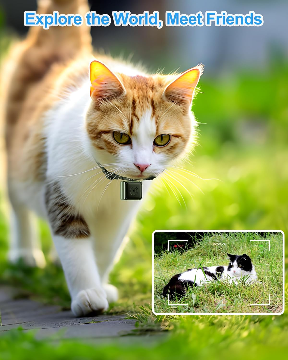 Cat Camera Collar, Direct Recording Camera for Cat/Dog, XS-Size Collar, No App, Cordless Cat Collar Camera, Body Camera for Cat/Dog Tracking, Dog Collar Camera(No Micro-SD Card Included)