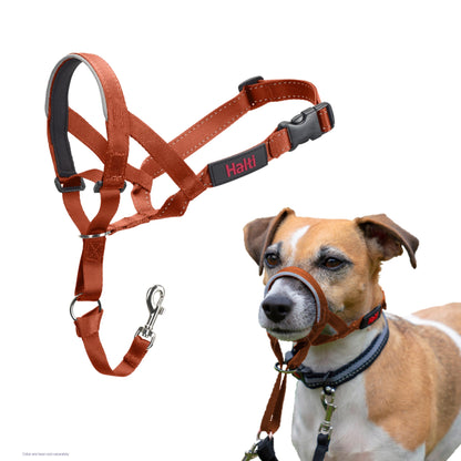 HALTI Headcollar - To Stop Your Dog Pulling on the Leash. Adjustable, Reflective and Lightweight, with Padded Nose Band. Dog Training Anti-Pull Collar for Medium Dogs (Size 3, Black)