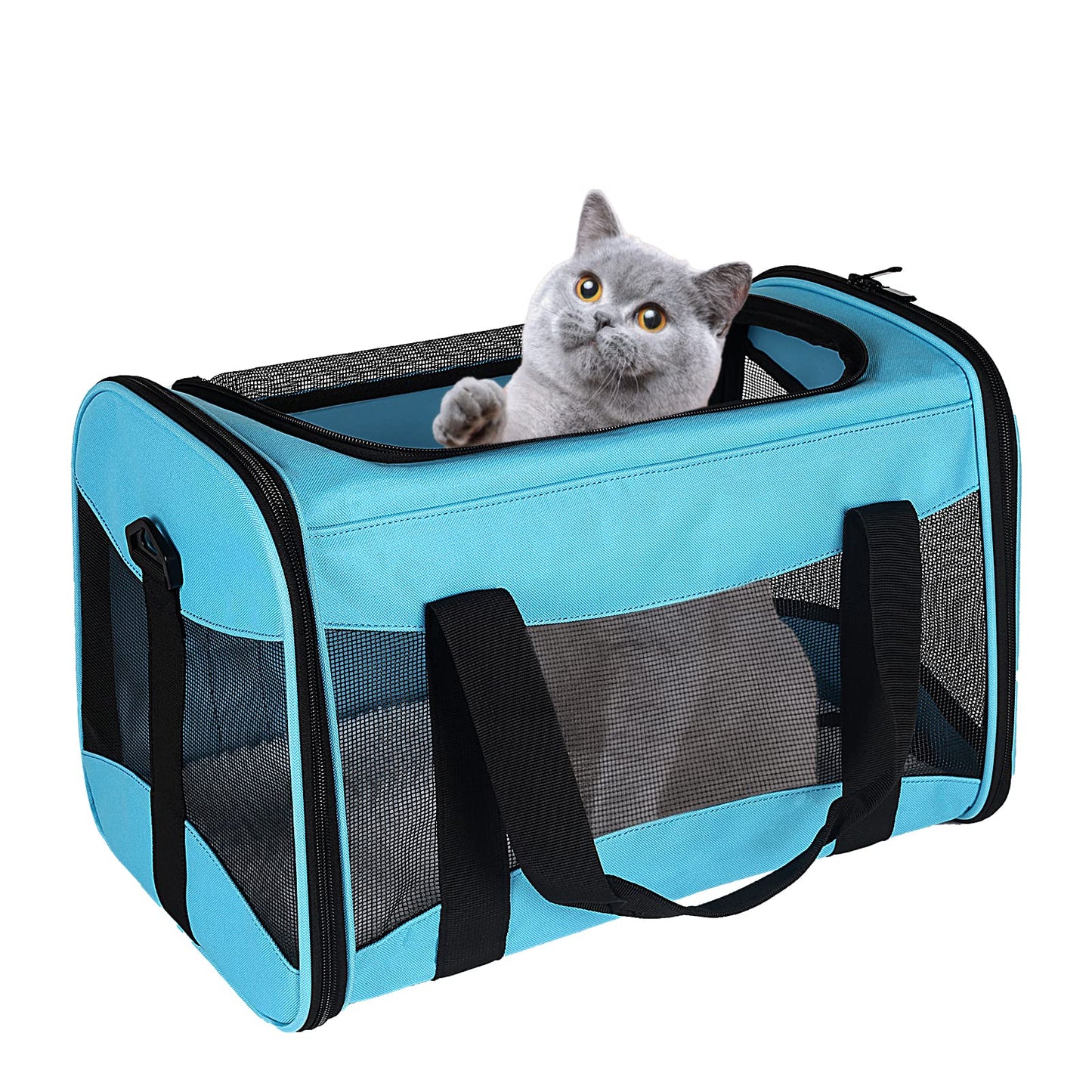 Cat Carrying Case Pet Dog Carrier Soft-Sided Cat Bag Airline Approved, Pet Travel Carrier Up to 15 Lbs, Collapsible Cat Carrier Dog Carrier for Medium Cats Small Cats Dogs(17x11x11 Green)