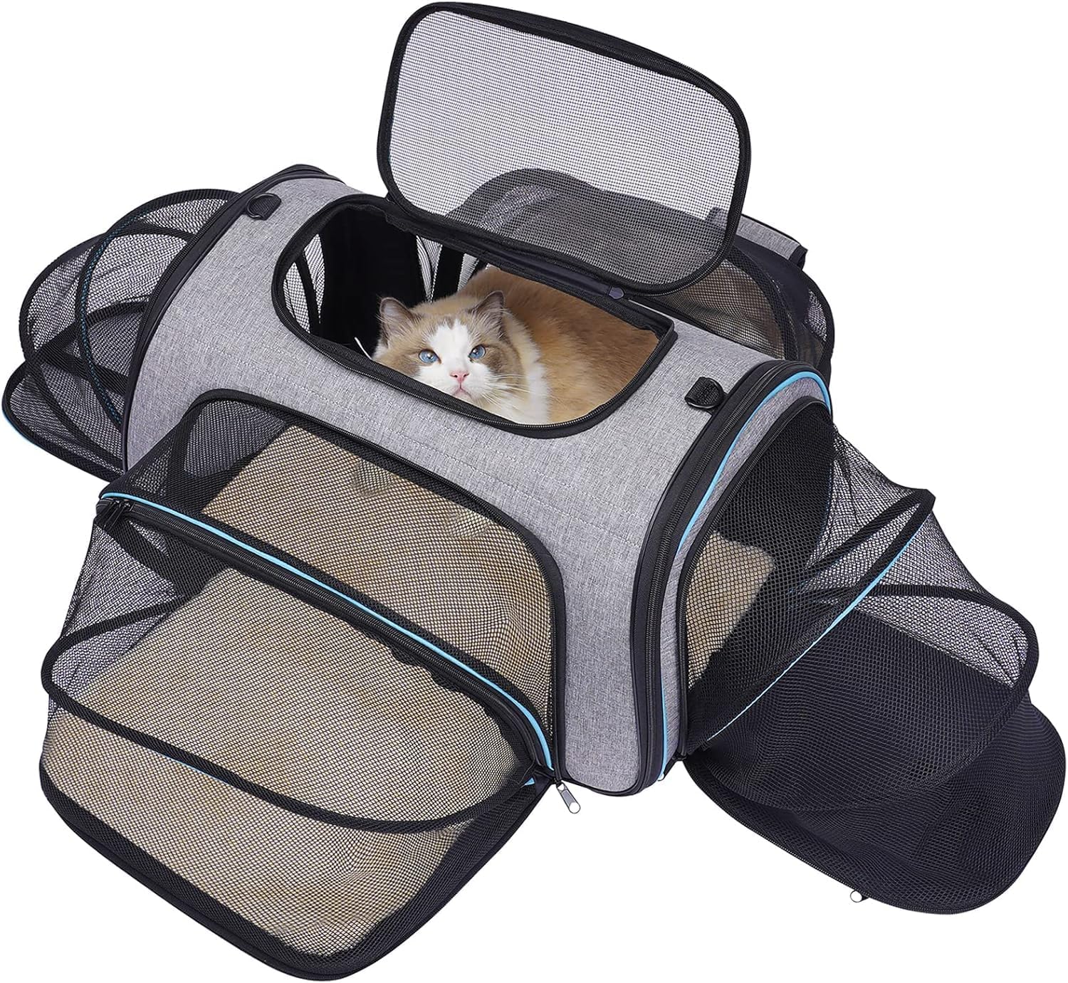 Siivton 4 Way Expandable Pet Carrier, Airline Approved Collapsible Cat Soft-Sided Carriers W/Removable Fleece Pad for Cats, Puppy, Small Dogs (18"x 11"x 11")